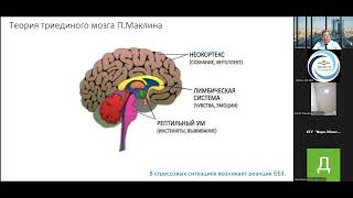 17 10 2024 Психологическая поддержка учащихся в ходе подготовки к внешнему оцениванию