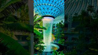 Singapore Changi Airport #singapore #airport #waterfalls