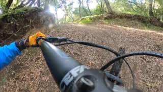 Hayward Plunge Trail - Greenbelt Park - MTB