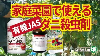 家庭菜園で使える有機JAS殺虫剤。ハダニ、サビダニ駆除のためには葉の裏までしっかり噴霧しなければ効果ない。【噴霧器修理】7/13