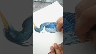 ✨️🔴 INCREDIBLE  Bird painting  using HIMI miya gouache ART