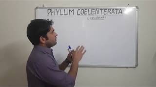 Phylum Coelentrata(Cnidaria) Part 01_Lecture 7