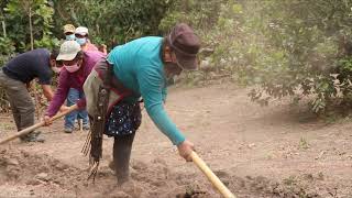 Huertos resilientes : una medida AbE implementada en CityAdapt San Salvador