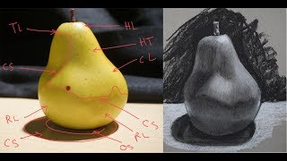 How to Draw with Charcoal