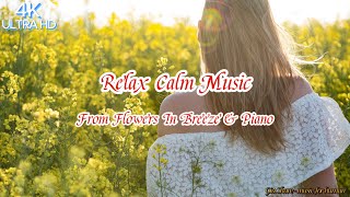 Relax Calm Music From Flowers In Breeze & Piano / relax, calm, meditation, help sleep.