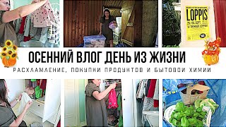 ОСЕННИЙ ВЛОГ🍂 Расхламление квартиры 🍁 Покупки продуктов для заготовок и бытовой химии для дома 🍂