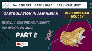 Gastrulation in Amphibians #csirnet #usha_yadav #developmental_biology #msc