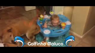 🐬Golfinho Maluco 🐬