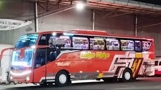 BUS SEDYA MULYA JETBUS 5 ADIPUTRO DENGAN TELOLET TERBARU