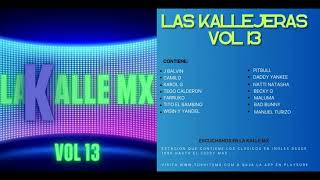 15 Kallejeras del Reggaeton Vol 13(Colección de La Kalle 21 MX)