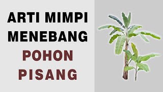 Arti Mimpi Menebang Pohon Pisang