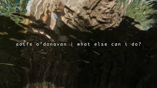 Aoife O'Donovan - “What Else Can I Do?” (Encanto cover)