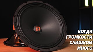 25 эстрадные динамики - DL Raven 250