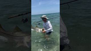 Monster Snook On The Beach! #fishing #snook #shorts