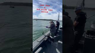 Last pass final seconds takedown Chinook Salmon trolling Columbia River, rod folds chinook on #pnw