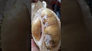 buah duren murah tp rasa ga kalah enak sm yg mahal