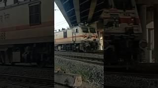 Super 😼Cute Train 😼pl like subscribe