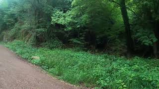 Wye Valley Greenway Chepstow to Tintern pt1