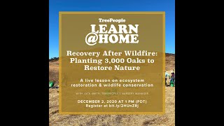 Learn At Home - Recovery After Wildfire: Planting 3,000 Oaks to Restore Nature