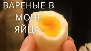 Отвратительная еда мира