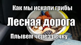 Как мы искали грибы - через реку вброд.