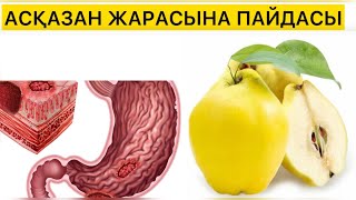 АСҚАЗАН ЖАРАСЫНА ПАЙДА БЕРЕТІН ЖЕМІС