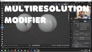 Blender Multiresolution Modifier Blender Veda