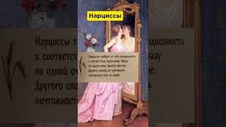 Нарциссы #нарциссизм #нарцис #нарциссочка