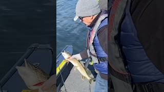 Fishing Pike lake city.