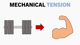 What is Mechanical Tension?