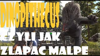 Ark Survival Evolved Lost Island - Zlapalem MALPE aka Dinopithecus Taming Alpha