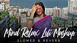 Mind Relaxing Song Hindi Lofi Mashup 2024 | Lofi Mashup | Love Mashup | SR Lofi Vibes