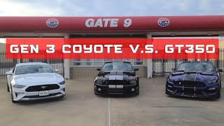 2020 GT VS SHELBY GT350! 60 Rolls & 40 Rolls! *In Mexico*