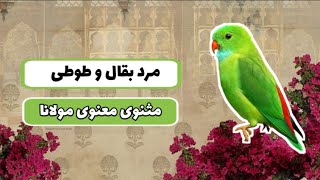 حکایت مرد بقال و طوطی | داستان دوم مثنوی معنوی | تفسیر داستان و ابیات حکایت