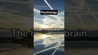 The Human Brain Can...