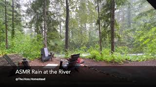 ASMR Rainfall at the River I Relaxing Sounds I Uninterrupted 20 minutes