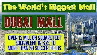 The World's Biggest Mall / Dubai mall / Fountain / Aquarium (Vlog #06)