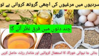 how to increase chicken weight in winter season|increase eggs|day old chicks cear|DR.ASIF