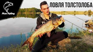 ТОЛСТОЛОБ 5,4 КГ | Ловля на снасть "УБИЙЦА ТОЛСТОЛОБА"