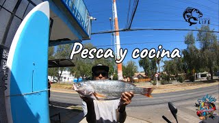 corvina al estilo peruano en alejo cevicheria con señuelo sakana modalidad de pesca spinning.