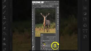 صفر تا صد فتوشاپ: کلیپینگ ماسک (Clipping Mask) #shortvideo  #shorts