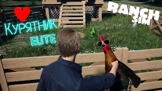 Ranch Simulator. Деньги есть? денег нет.