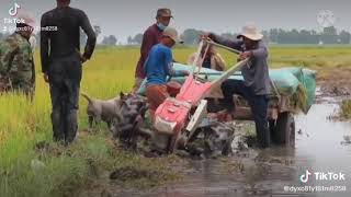 tractor driver rice delivery, khmer tiktok 2021