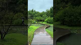 Beautiful wooden bridge #travel #waterfallwanderlust #shorts #ytshorts #shortvideo