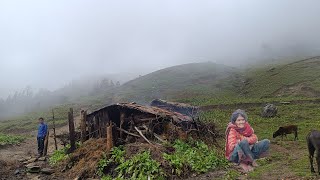 Most Relaxing Nepali Mountain Village Life | Daily Activities of Gorey Nepal🇳🇵Mountain People | Rain