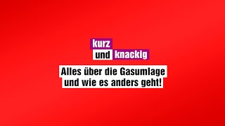 Alles über die Gasumlage und wie es anders geht | DIE LINKE Bremen | Klaus-Rainer Rupp