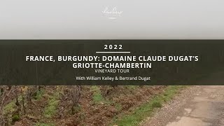 France, Burgundy: Domaine Claude Dugat’s Griotte-Chambertin Grand Cru Vineyard Tour