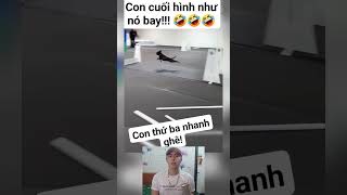 funguy86tv || tốc độ của các tay đua là bao nhiêu  #funny #funnymoments #shorts