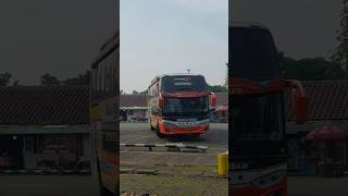 Rosin 3027 Merak - Ponorogo via Wonogiri #shorts #rosaliaindah #bismania #ayonaikbus