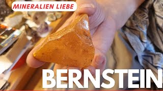 Bernstein mit Einschluss aus Mineralien Sammlung - Bernstein Inklusen #bernstein #fliege #stechmücke